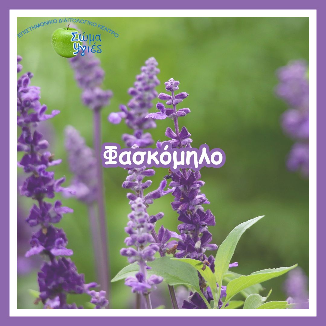 Φασκόμηλο